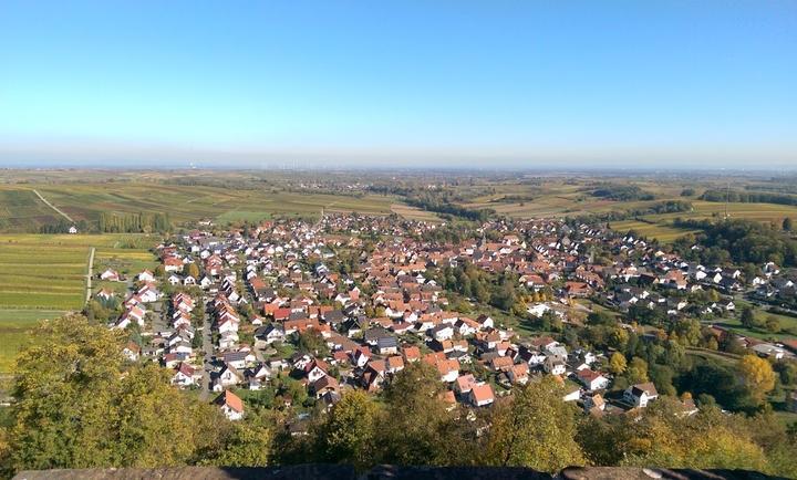 Weinstube Pfeffer